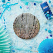 Netz des europäischen Garten-Spinnen-Papptellers Pappteller (Party)