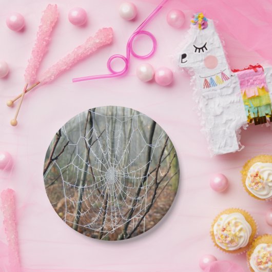 Netz des europäischen Garten-Spinnen-Papptellers Pappteller (Party)