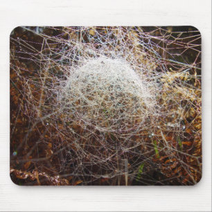 Netz von Filmy Dome Spider Mouse Mat Mousepad