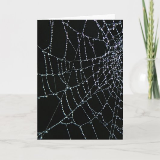 Netz-Wunder Karte (Vorderseite)