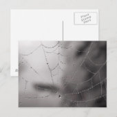 Netztropfen Postkarte (Vorne/Hinten)