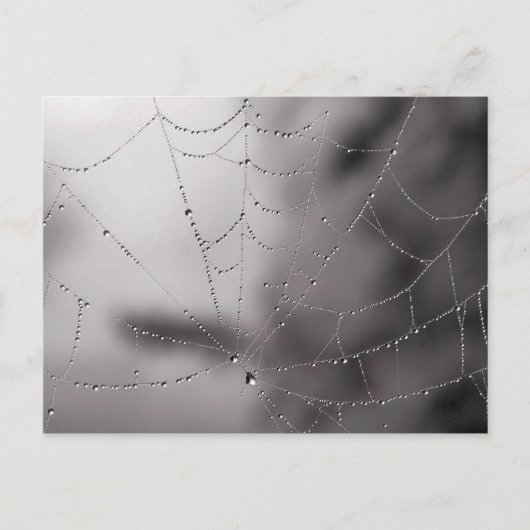 Netztropfen Postkarte (Vorderseite)