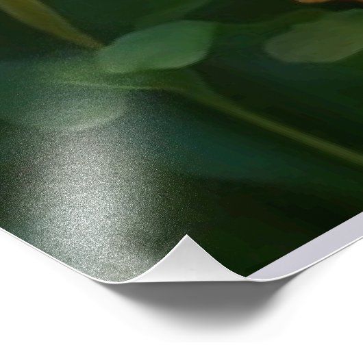 NEU! Aquarellbilder für Blumenpfade" Fotodruck (Ecke)