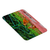 Neu-Delhi, Indien Magnet (Rechte Seite)