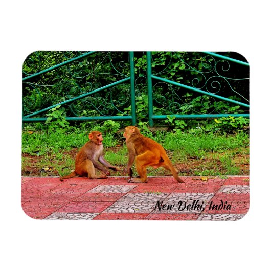 Neu-Delhi, Indien Magnet (Horizontal)