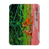 Neu-Delhi, Indien Magnet (Vertikal)