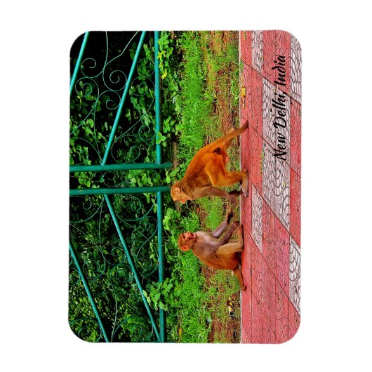 Neu-Delhi, Indien Magnet (Vertikal)