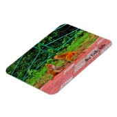 Neu-Delhi, Indien Magnet (Linke Seite)