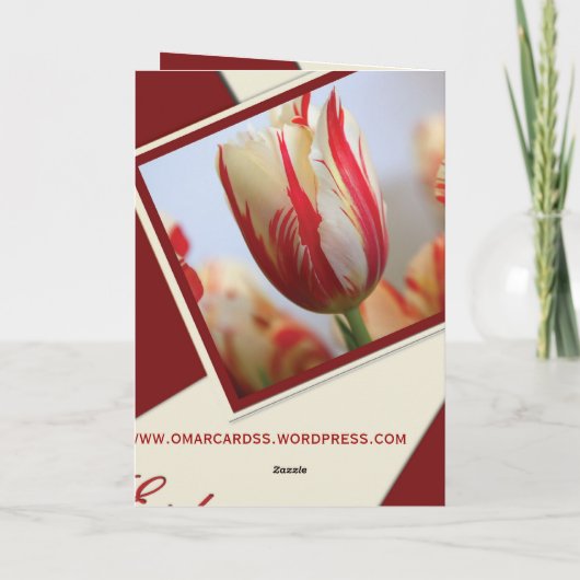 neu-eid-1 karte (Rückseite)