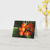 Neu-England Blumennotecard Sammlung Karte (Gelbe Blume)