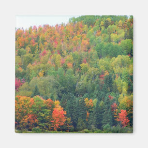 Neu-England Herbst 073 Magnet