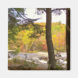 Neu-England Herbst 127 Magnet