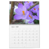Neu-England Kalender 2017 (Mär 2027)