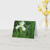 Neu-England weiße Iris Blumennotecard Sammlung Karte (Gelbe Blume)