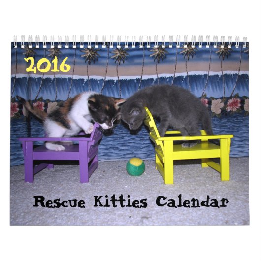 *****NEU für 2016!!! **** Kätzchen Kalender (Titelbild)