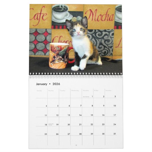*****NEU für 2016!!! **** Kätzchen Kalender (Jan 2026)