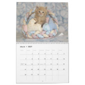 *****NEU für 2016!!! **** Kätzchen Kalender (Mär 2027)