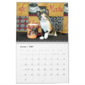 *****NEU für 2016!!! **** Kätzchen Kalender (Jan 2027)