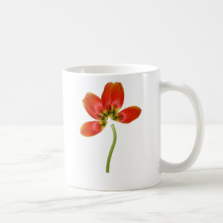 Neu geordnete rote Tulpe Kaffeetasse