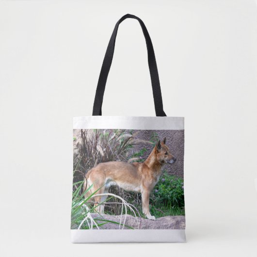 Neu-Guinea Gesang-HundeFoto-Tasche Tasche (Vorderseite)