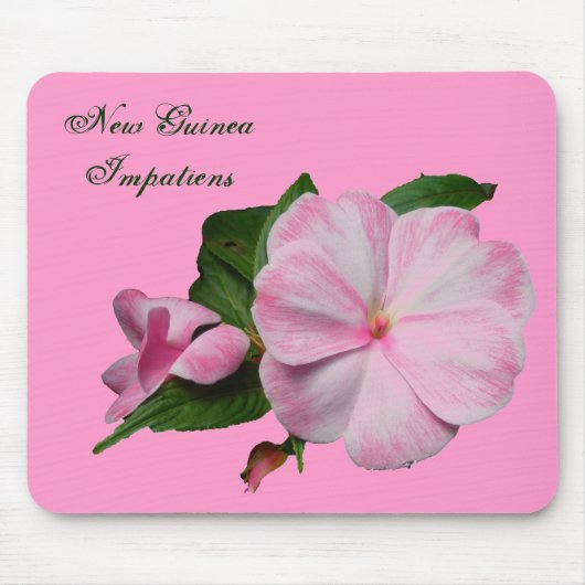 Neu-Guinea Impatiens rosa weißes Mousepad (Vorne)