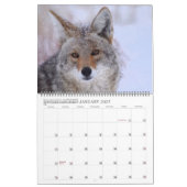 Neu! 'Ich bin Kojote' 2026/2027 Kalender (Jan 2027)