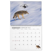 Neu! 'Ich bin Kojote' 2026/2027 Kalender (Feb 2027)