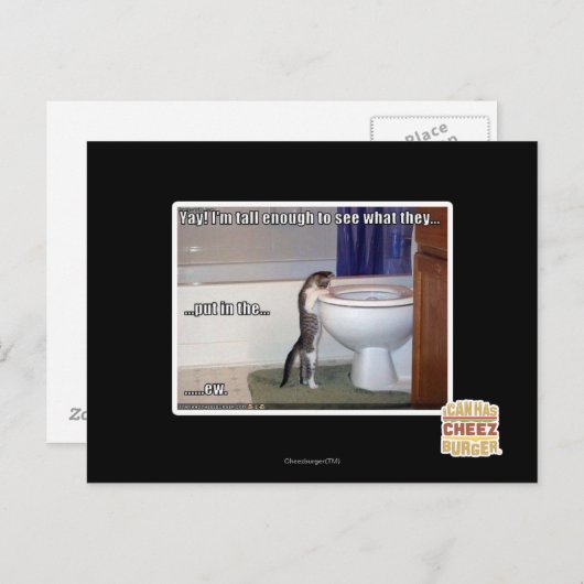 neu postkarte (Vorne/Hinten)