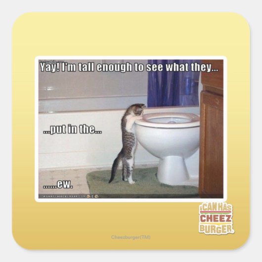 neu quadratischer aufkleber (Vorderseite)