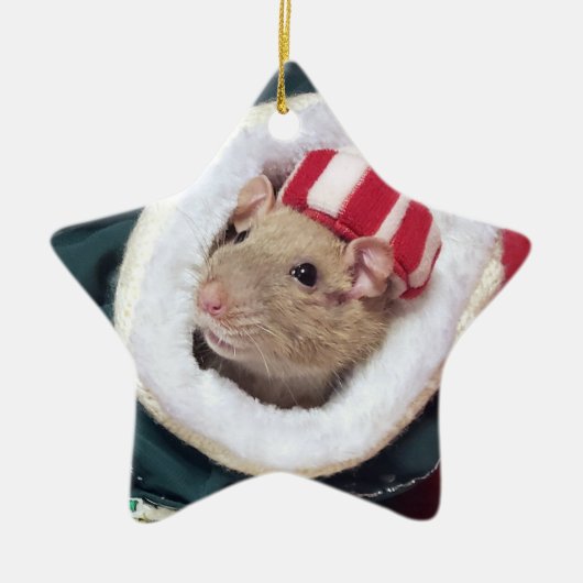 NEU! Ratten-Schmuck Coco Keramik Ornament (Vorne)