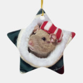 NEU! Ratten-Schmuck Coco Keramik Ornament (Hinten)