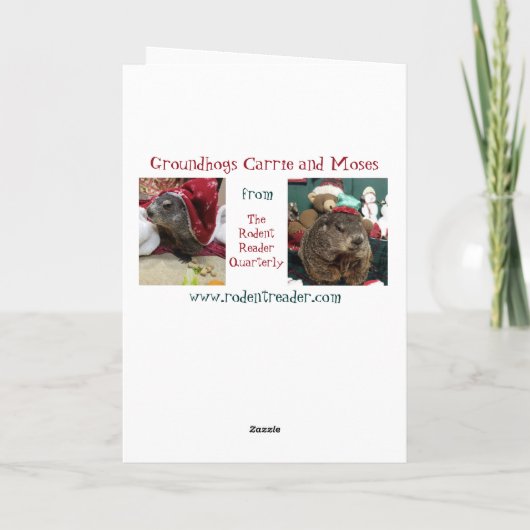 NEU! Weihnachtskarte B Feiertagskarte (Rückseite)