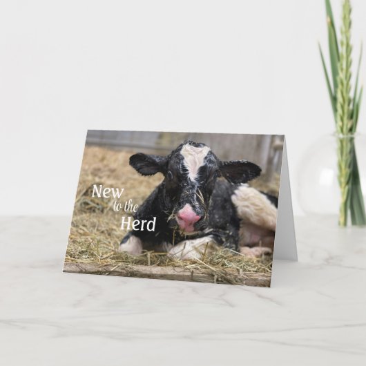Neu zur Herd Baby Gratulations Card Einladung (Vorderseite)