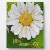 Neuanfang - Daisy Blume Power Fotoplatte (Vorderseite)