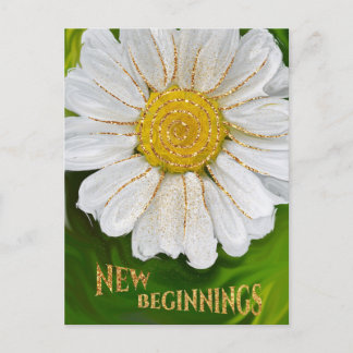 Neuanfang - Daisy Blume Power Postkarte