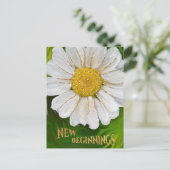 Neuanfang - Daisy Blume Power Postkarte (Stehend Vorderseite)