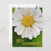 Neuanfang - Daisy Blume Power Postkarte (Vorne/Hinten)