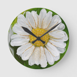 Neuanfang - Daisy Blume Power Runde Wanduhr