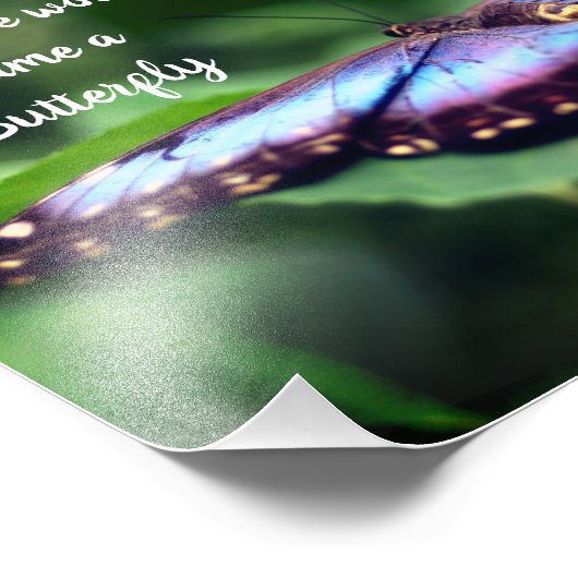 Neuanfang Schmetterling Inspiration Zitat 8x10 Fotodruck (Ecke)