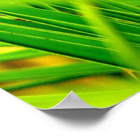 (Neuankömmling) Poster Print (Ecke)