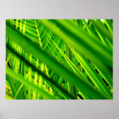 (Neuankömmling) Poster Print (Vorne)