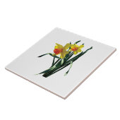 Neuartige Daffodien Fliese (Seite)
