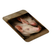 Neuartige Ferkel Magnet (Rechte Seite)