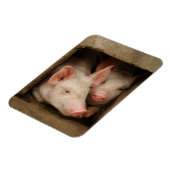 Neuartige Ferkel Magnet (Linke Seite)