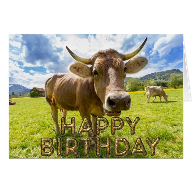 Neuartige Kuh (Vorderseite (Horizontal))