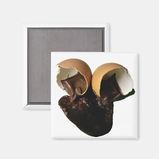 Neuartige Schokoladeneier Magnet (Vorderseite/Rückseite)