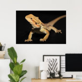 Neuartiger Bartdrache 3 Poster (Heimbüro)