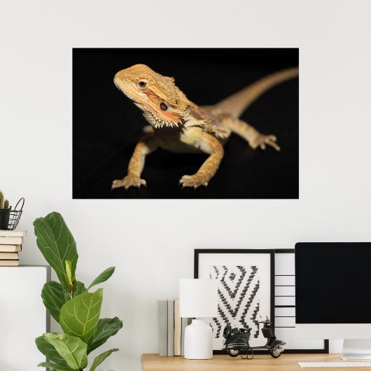 Neuartiger Bartdrache 3 Poster (Heimbüro)