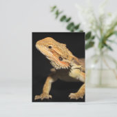 Neuartiger Bartdrache 3 Postkarte (Stehend Vorderseite)