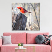 Neuartiger Kardinal Leinwanddruck (Insitu (Wohnzimmer))